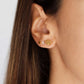 Small Earrings